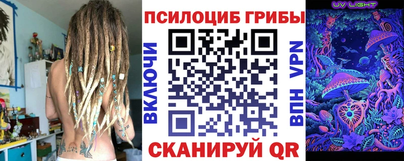 Купить  Невинномысск  Галлюциногенные грибы Cubensis 